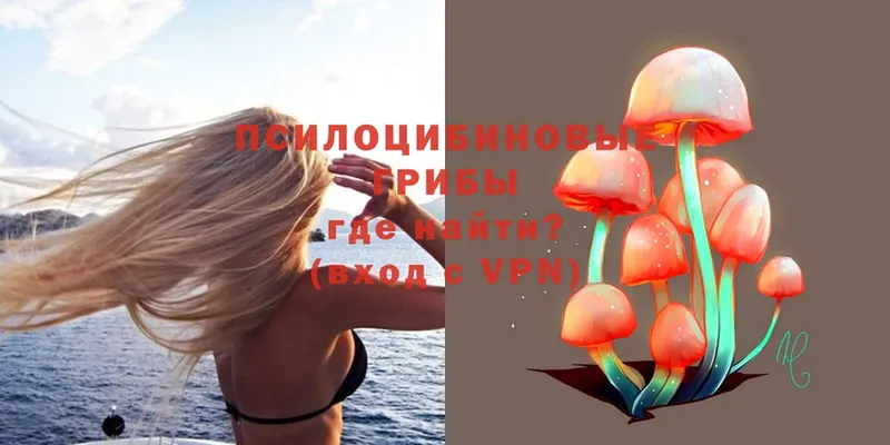 Псилоцибиновые грибы Magic Shrooms  Ясногорск 